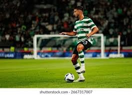 AIGC看体育 ｜ 樊振东获留洋生涯首冠