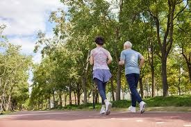 多伦多蓝鸟队作为加拿大球会，在分区赛中展露头角，预示着九十年代的崛起