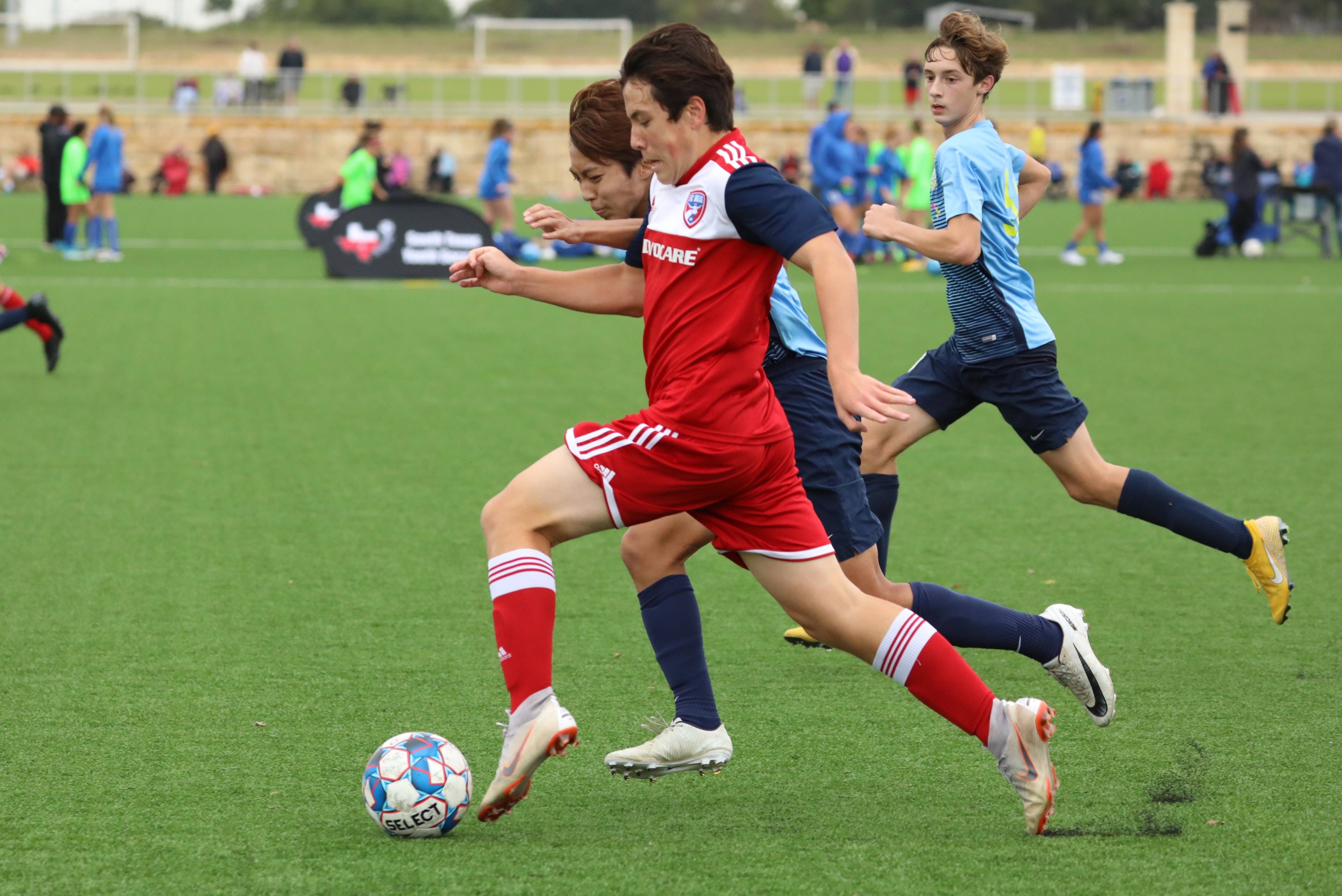 车迷最为关 车迷最为关